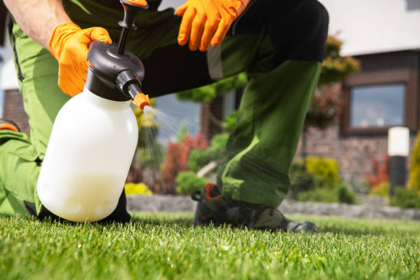 Best Residential Pest Control  in Mays Landing, NJ