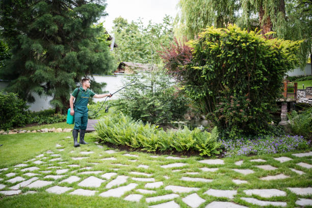 Best Mosquito Control Services  in Mays Landing, NJ