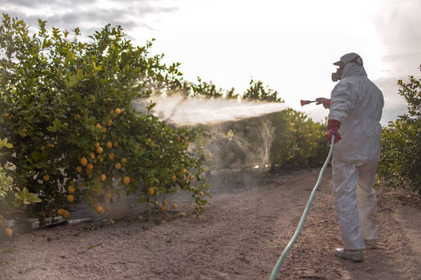 Reliable Mays Landing, NJ Pest Control Solutions