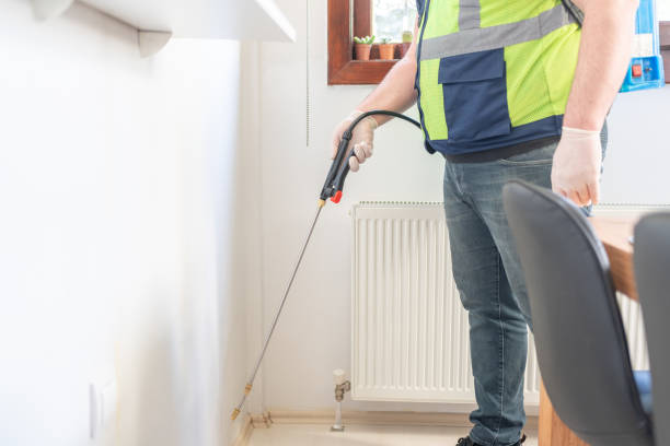 Best Affordable Pest Control Services  in Mays Landing, NJ