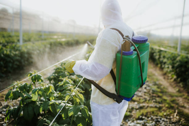 Reliable Mays Landing, NJ Pest Control Solutions
